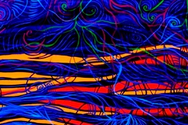 Indigo